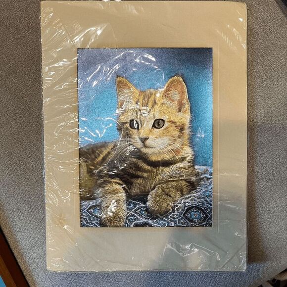 Vintage Framed Cat Prints – Cover Kitty & Iridescent Tabby Art - 16 x 13 - Picture 5 of 9